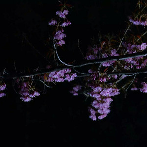 马日男人免费视频视频
